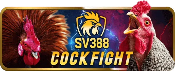 Đặt cược và rút tiền tp88 code