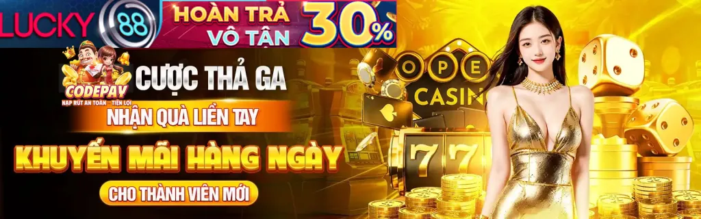 Câu hỏi thường gặp TP88 Code